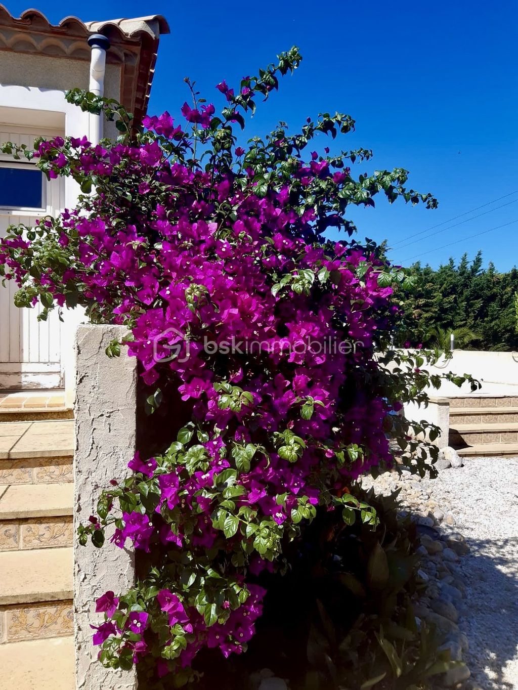 Achat maison 4 chambre(s) - Narbonne