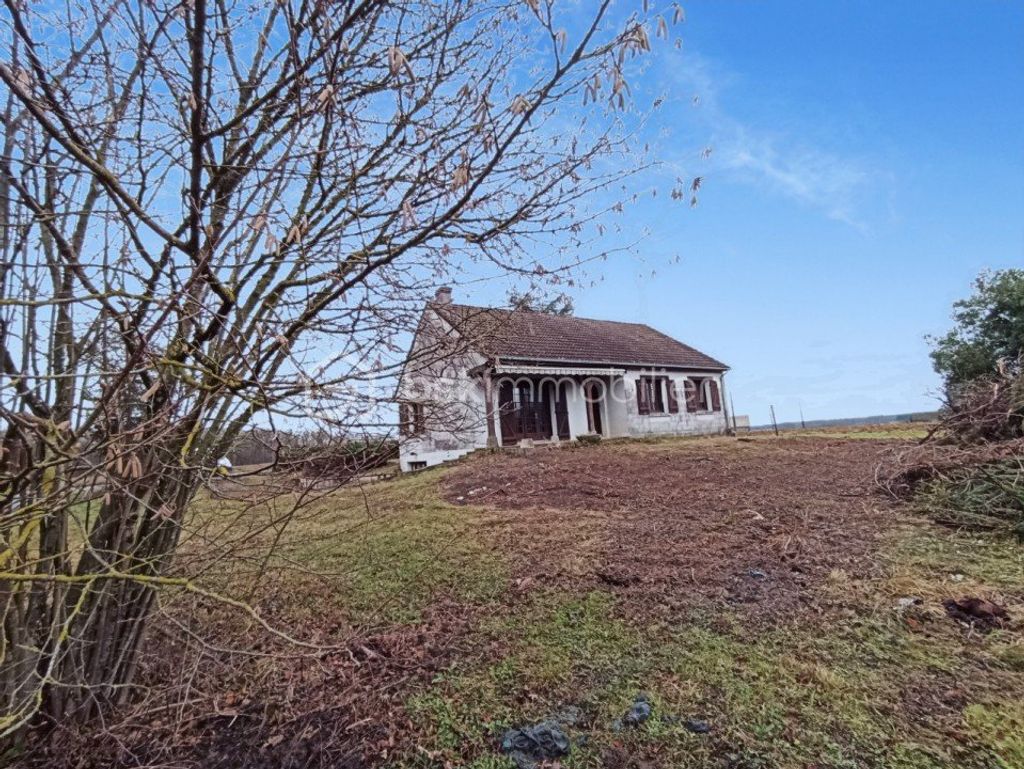 Achat maison 3 chambre(s) - Auvilliers-en-Gâtinais