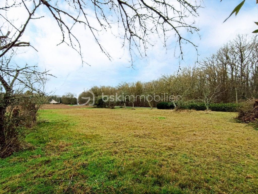 Achat maison 3 chambre(s) - Auvilliers-en-Gâtinais