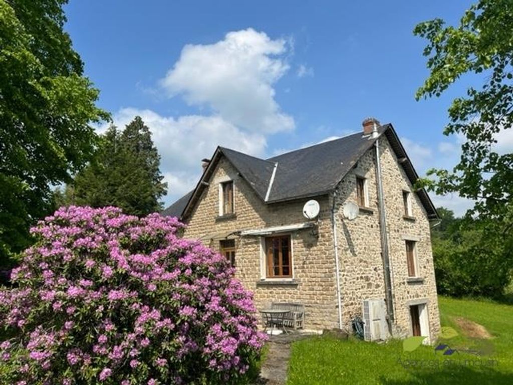 Achat maison à vendre 4 chambres 213 m² - Peyrissac