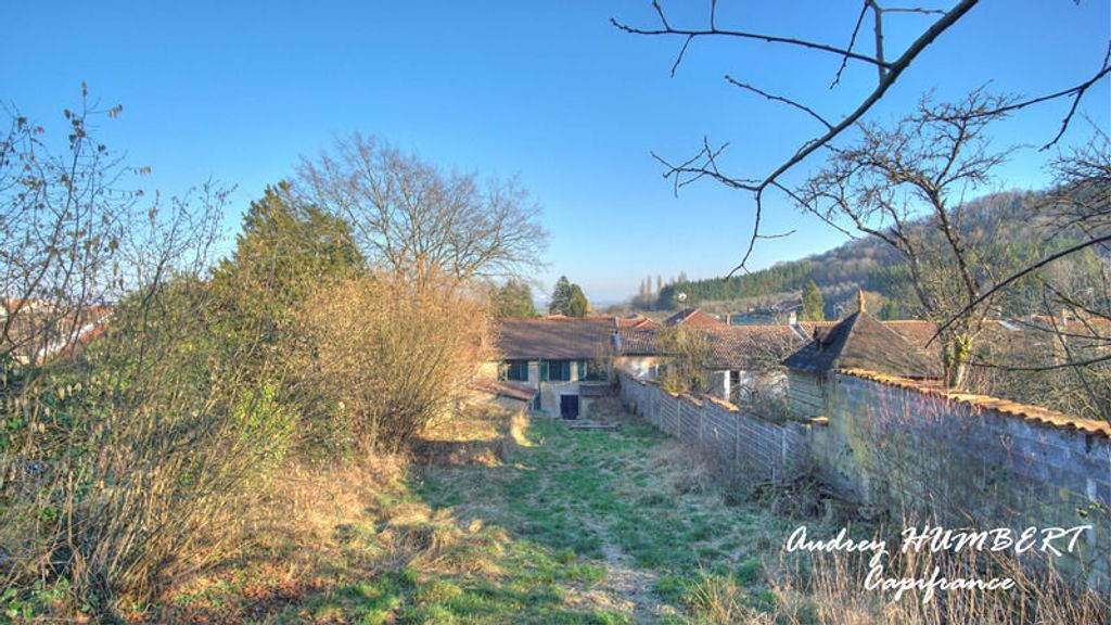 Achat appartement 9 pièce(s) Vigneulles-lès-Hattonchâtel