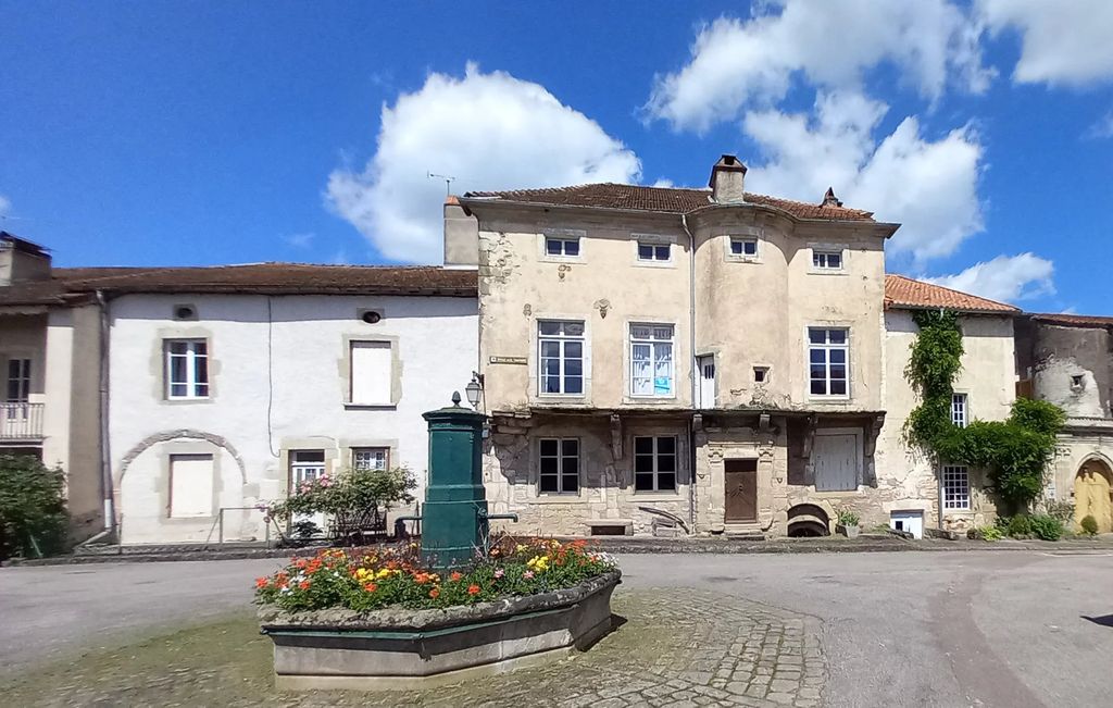 Achat maison à vendre 3 chambres 200 m² - Châtillon-sur-Saône