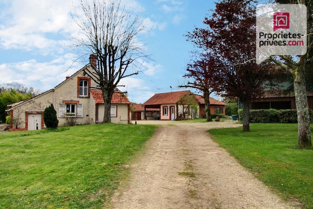 Achat maison à vendre 4 chambres 300 m² - Varennes-Changy