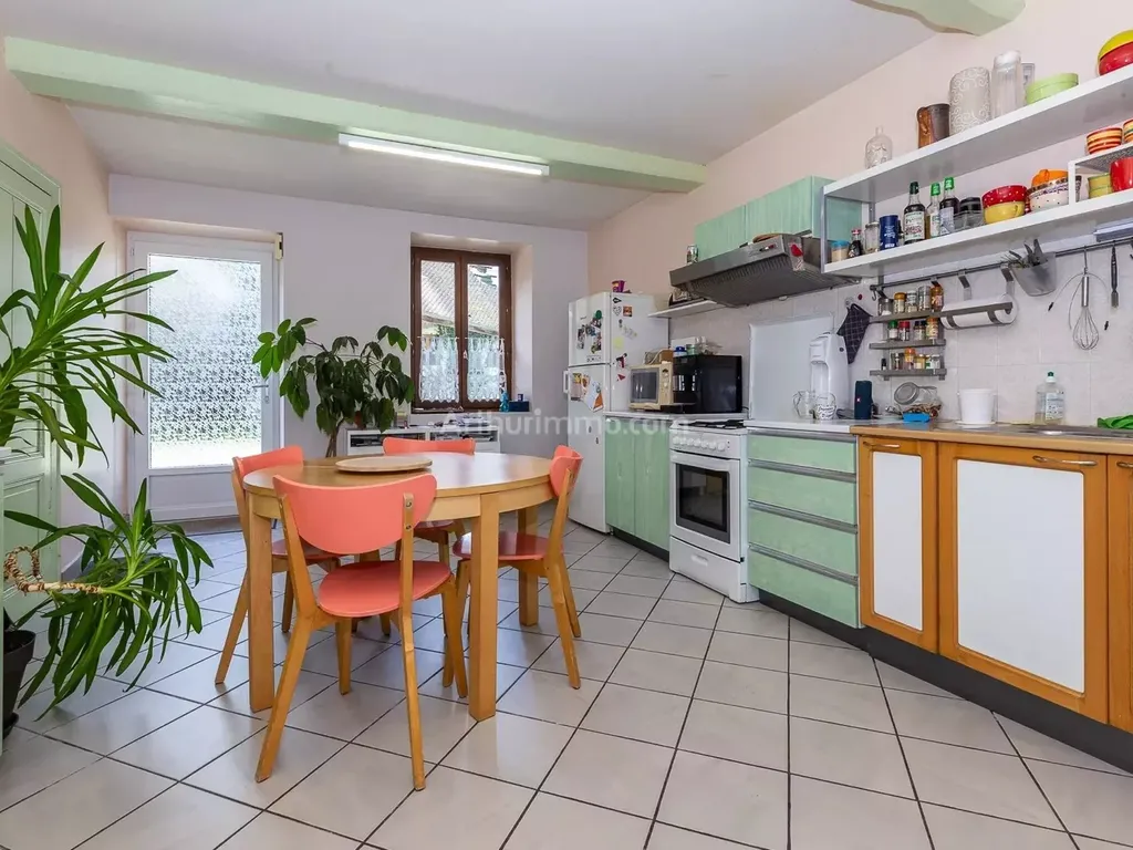 Achat maison à vendre 3 chambres 171 m² - Groslée-Saint-Benoît