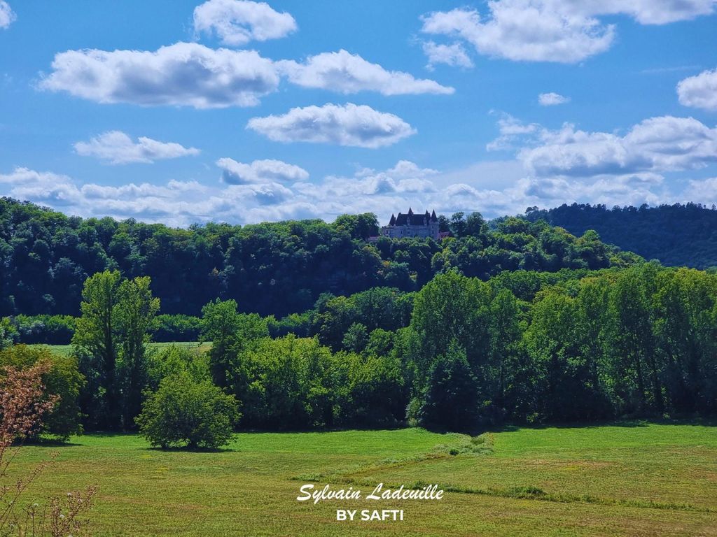 Achat maison 4 chambre(s) - Les Eyzies-de-Tayac-Sireuil