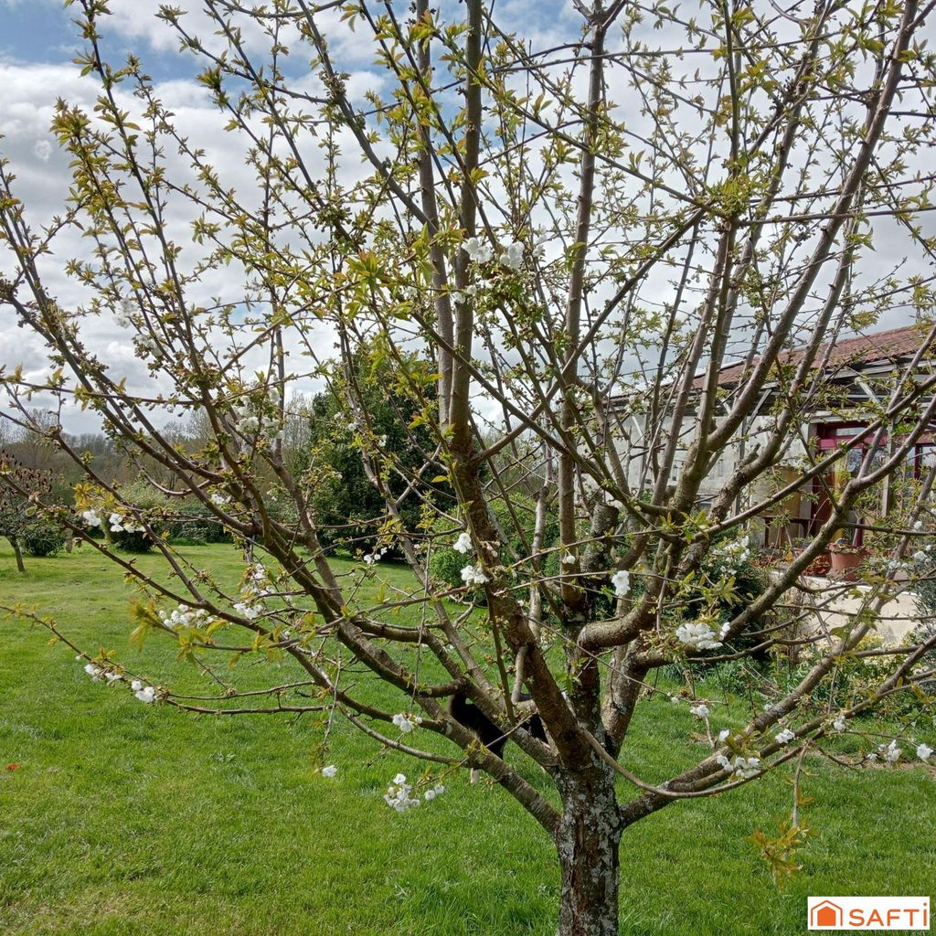 Achat maison 4 chambre(s) - Vernoux-en-Gâtine