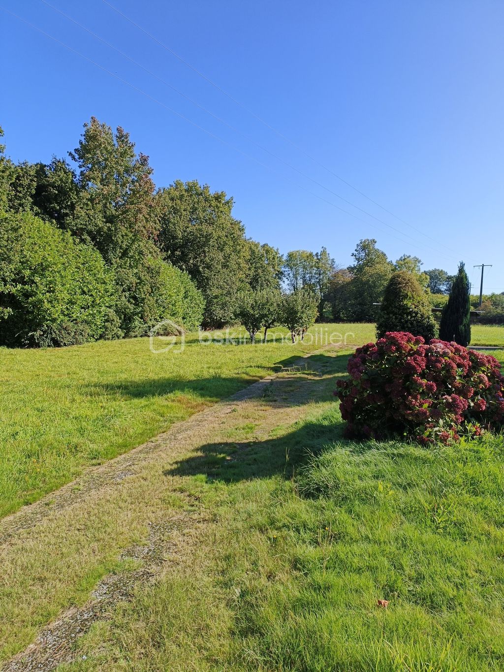 Achat maison 4 chambre(s) - Bonnemain