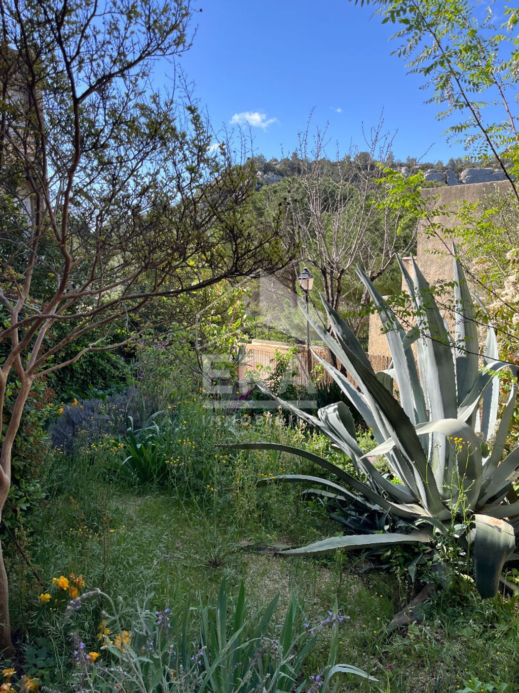 Achat maison 3 chambre(s) - Les Baux-de-Provence