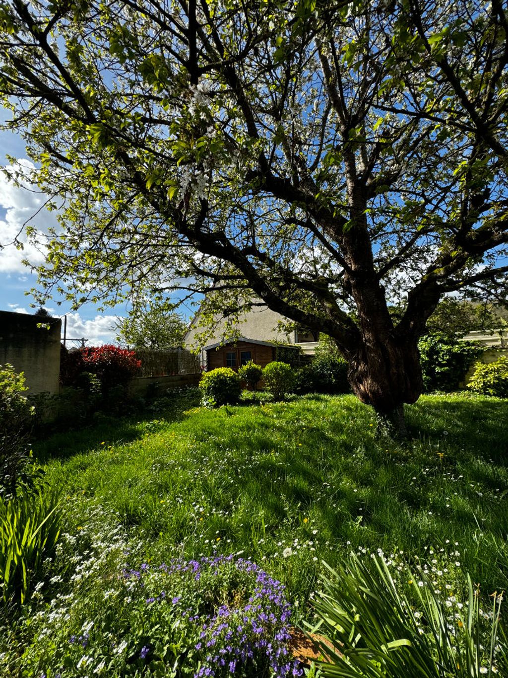 Achat maison 5 chambre(s) - Soissons