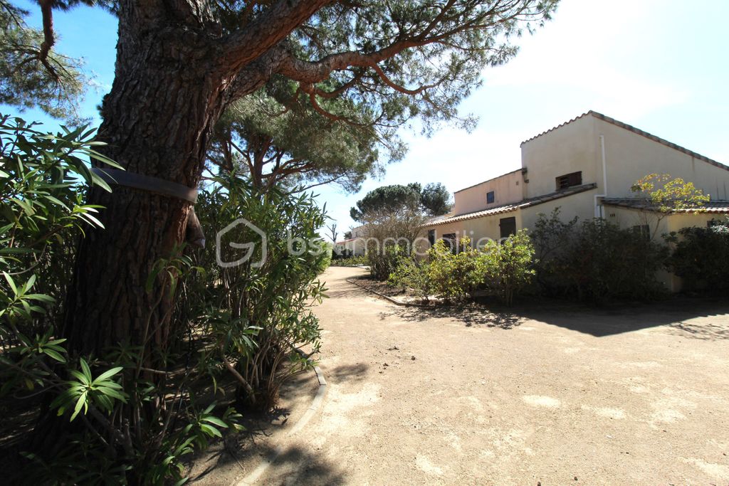 Achat maison à vendre 1 chambre 36 m² - Saint-Cyprien