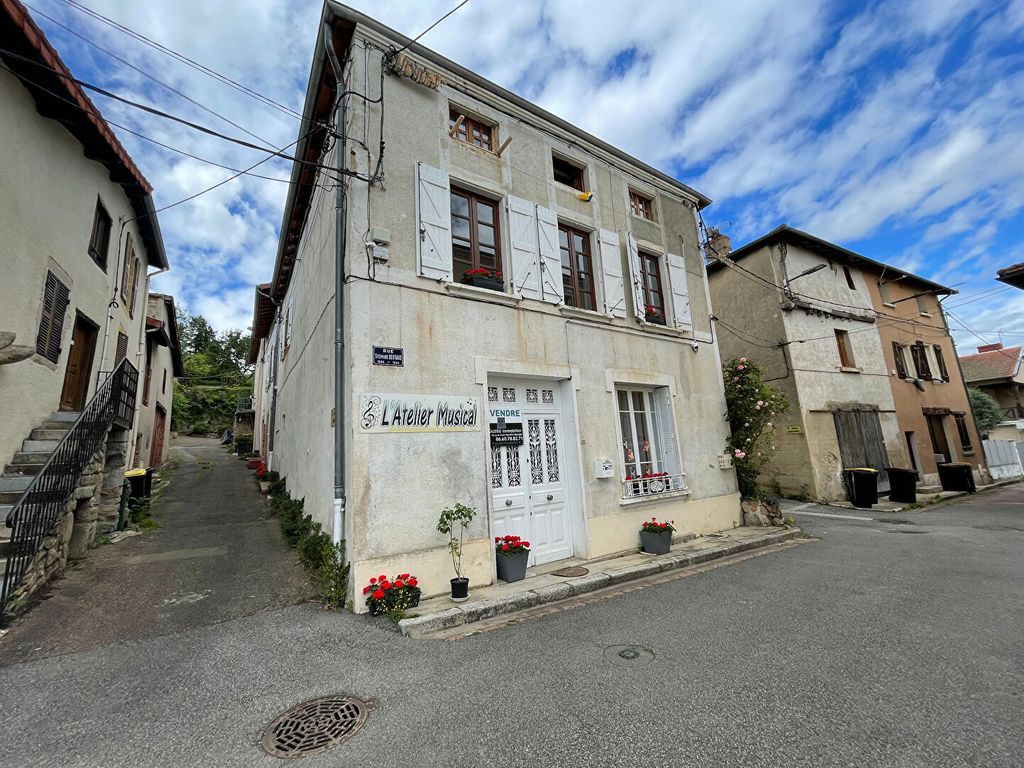 Achat maison à vendre 3 chambres 240 m² - Renaison