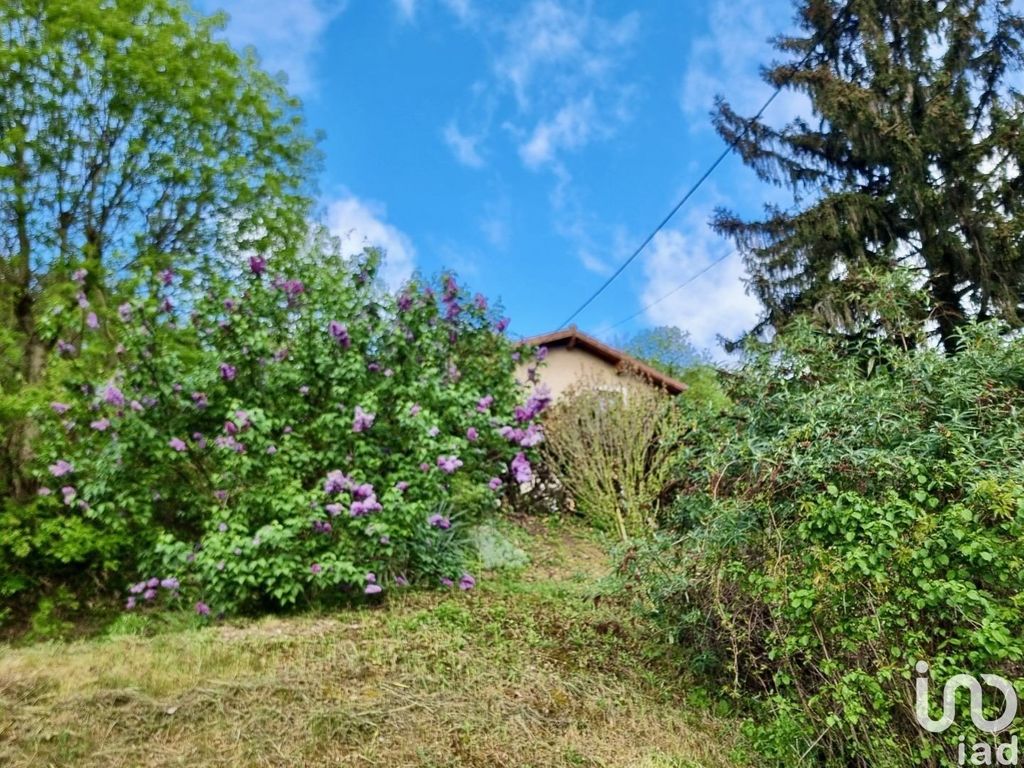 Achat maison à vendre 2 chambres 80 m² - Nivolas-Vermelle