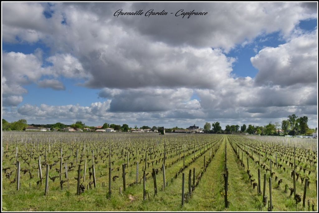 Achat maison 2 chambre(s) - Pessac