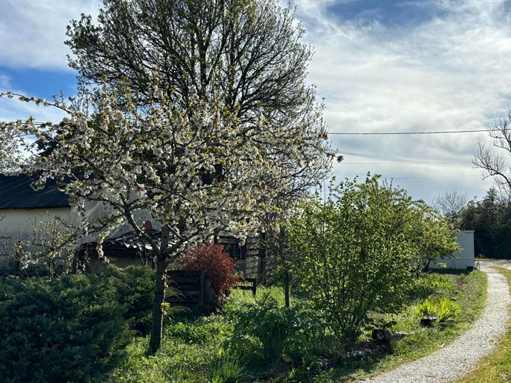 Achat maison 4 chambre(s) - Bonzac