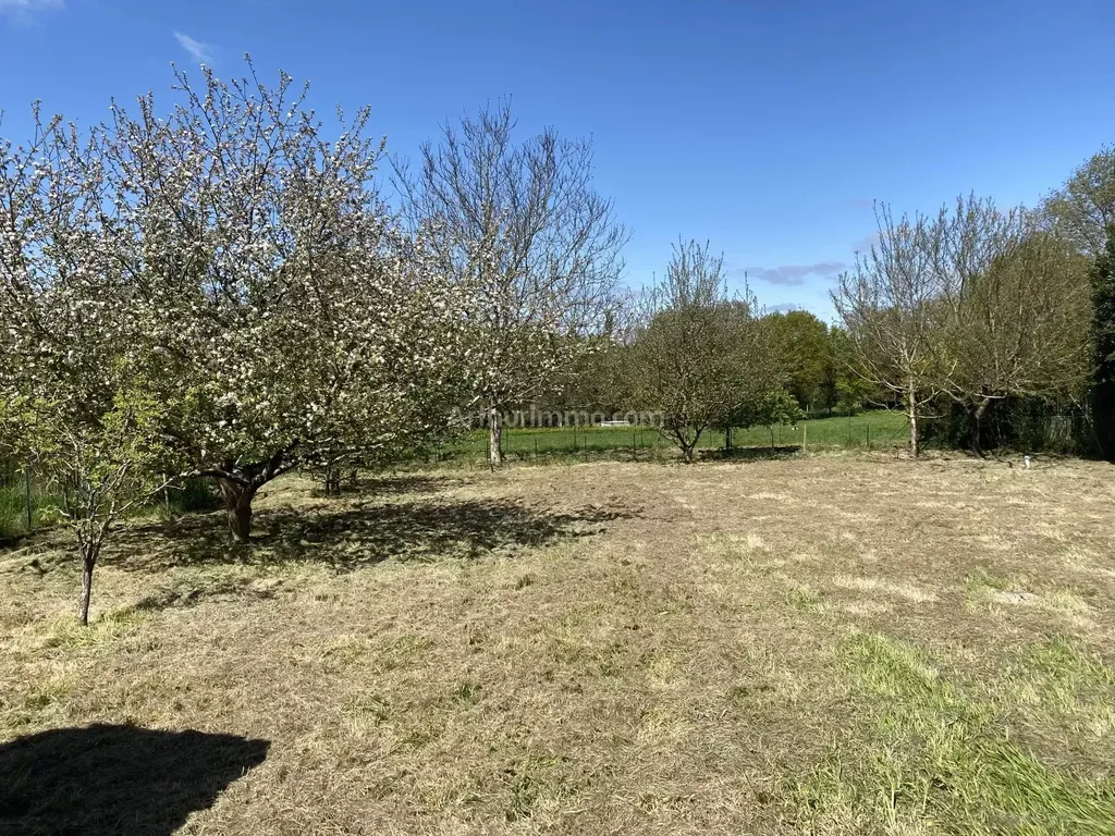 Achat maison 4 chambre(s) - Ploemel