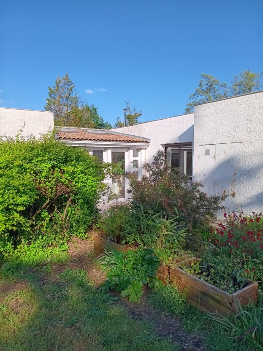 Achat maison 3 chambre(s) - Pessac