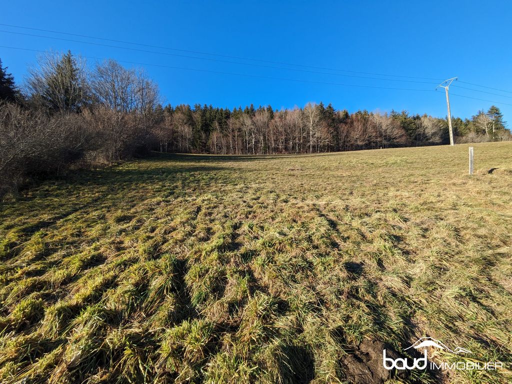 Achat maison 3 chambre(s) - Lans-en-Vercors