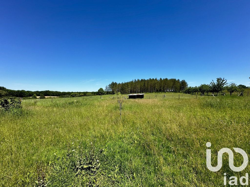 Achat maison 3 chambre(s) - Castillonnès