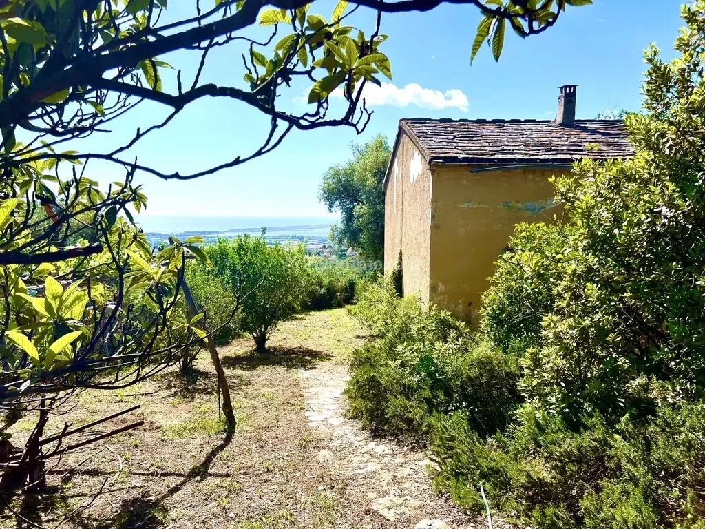 Achat maison 3 chambre(s) - Furiani