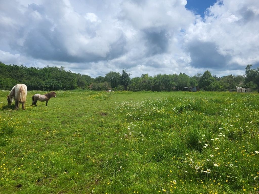 Achat maison 3 chambre(s) - Fleury-sur-Loire