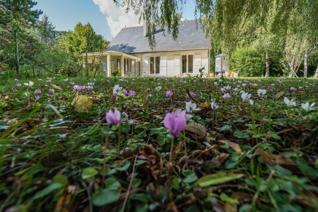 Achat maison 5 chambre(s) - Amboise