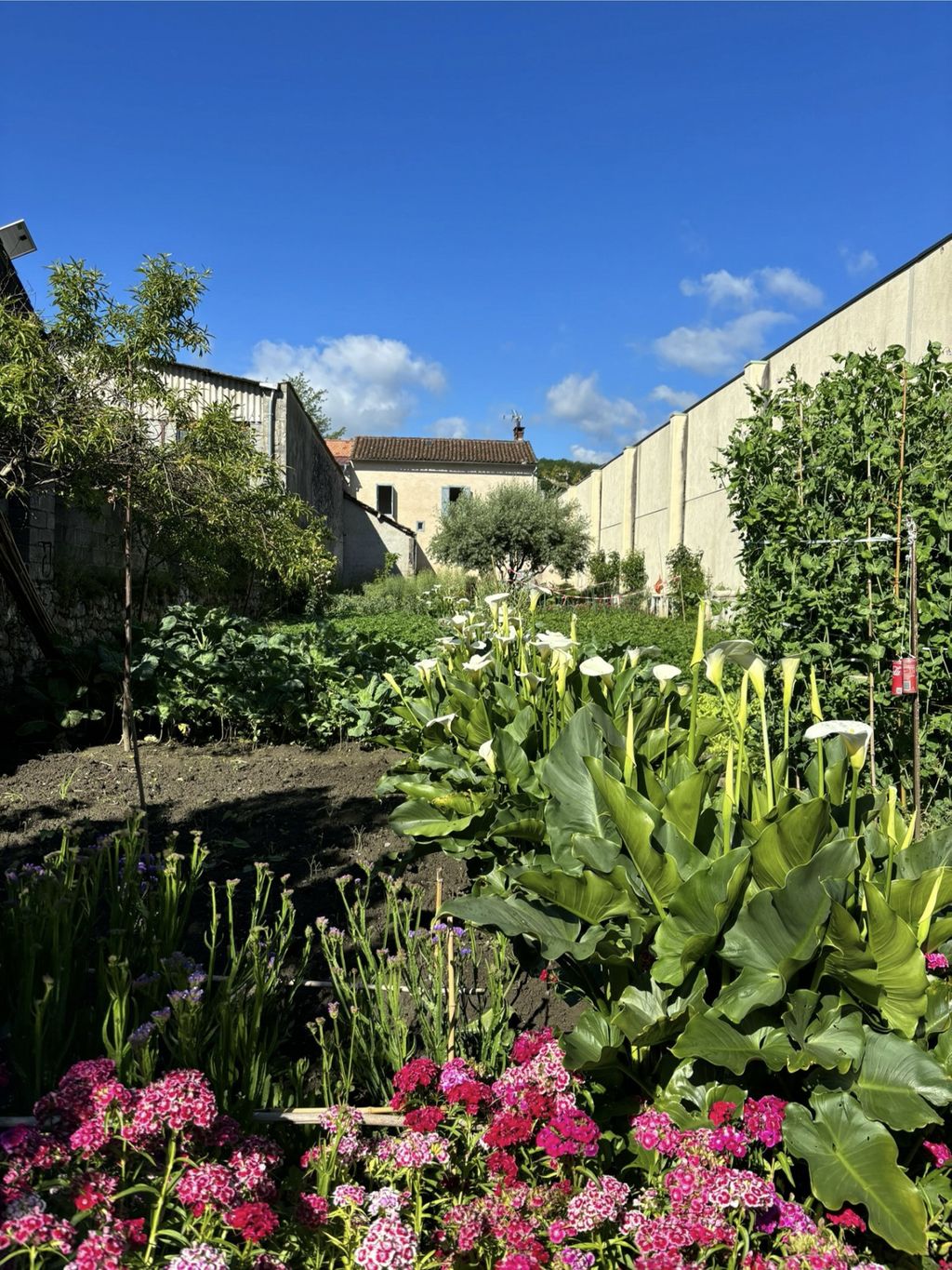 Achat maison 3 chambre(s) - Saint-Girons