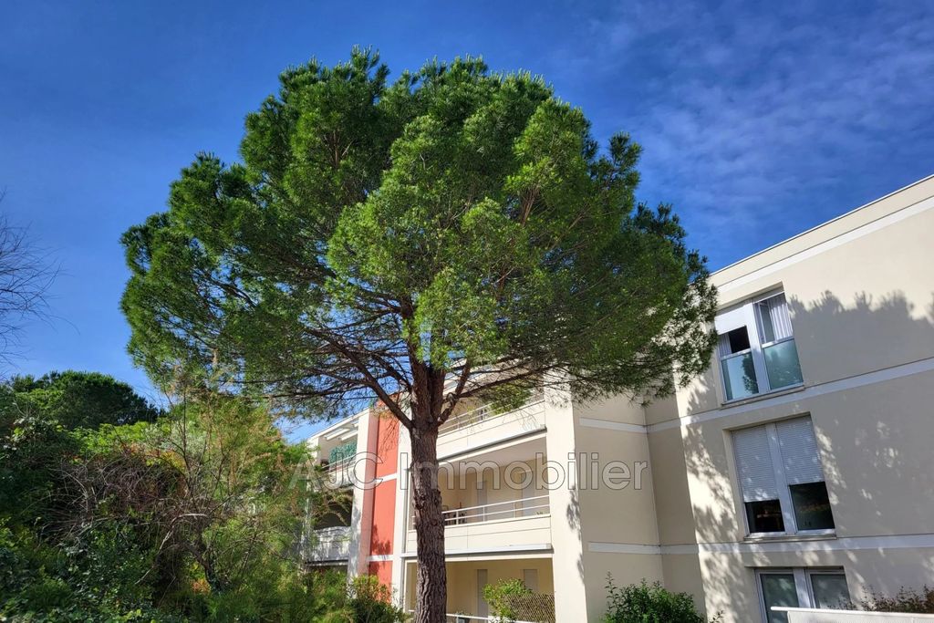 Achat appartement 4 pièce(s) Montpellier