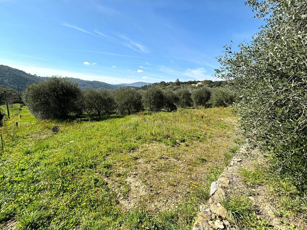 Achat maison 3 chambre(s) - Grasse