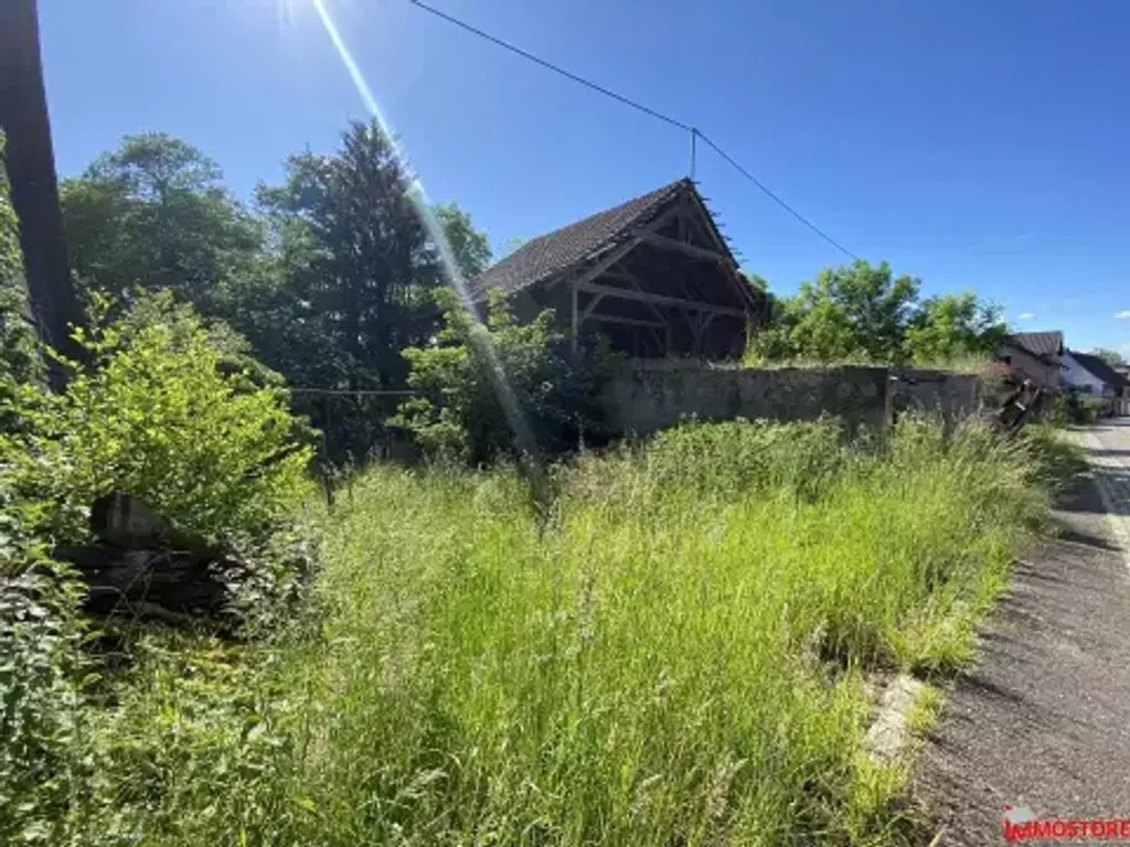 Achat maison 4 chambre(s) - Oltingue