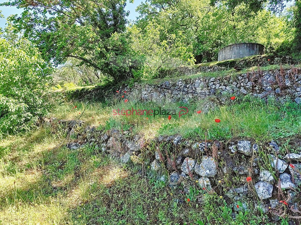 Achat maison 5 chambre(s) - Grasse