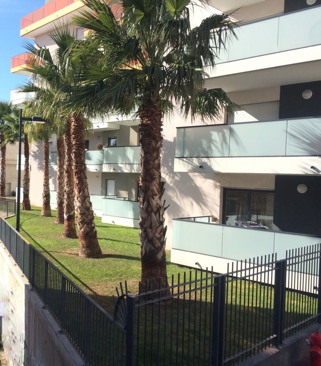 Achat studio à vendre 34 m² - Perpignan