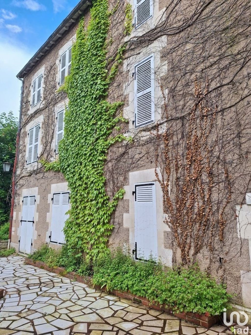 Achat maison à vendre 4 chambres 204 m² - Lussac-les-Châteaux