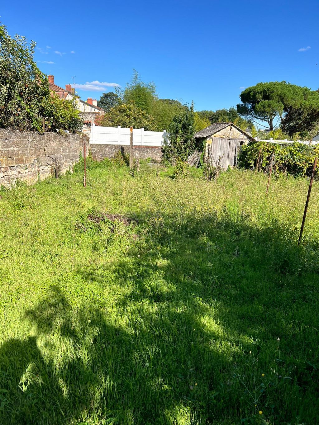 Achat maison 3 chambre(s) - Chantonnay