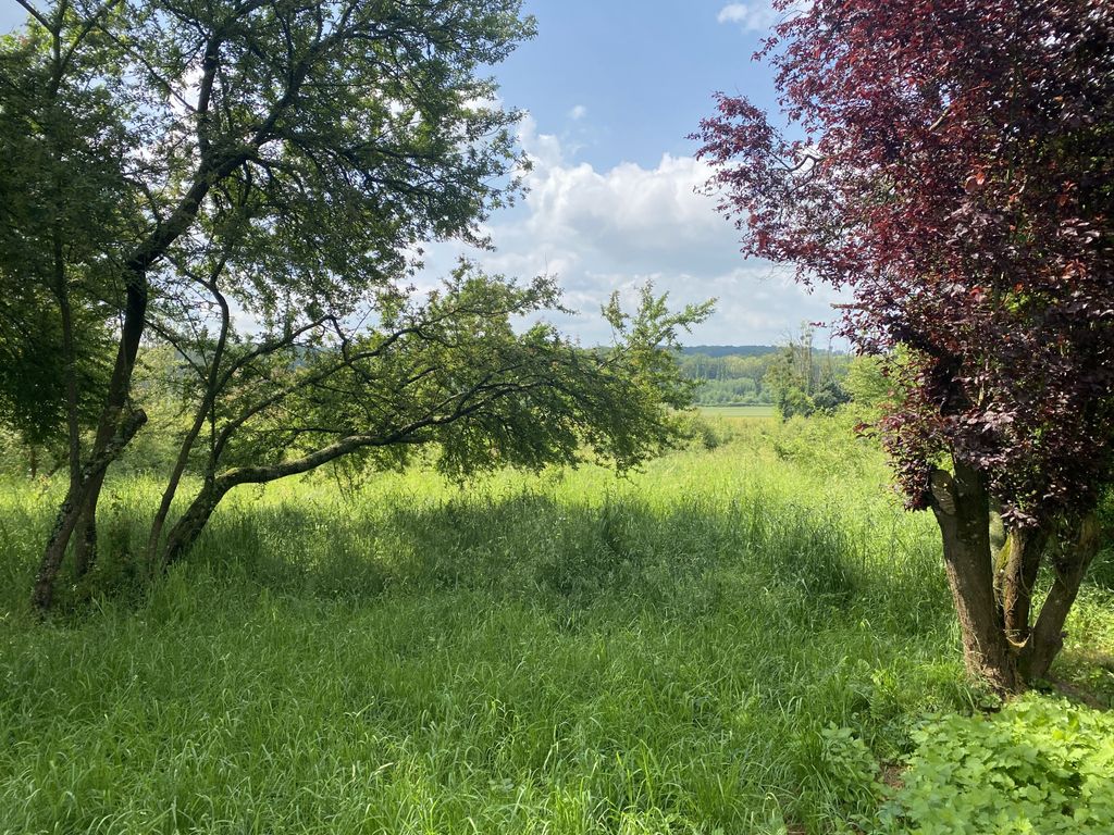 Achat maison 3 chambre(s) - Charny-Orée-de-Puisaye