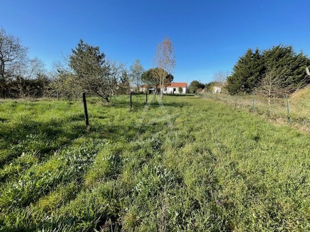 Achat maison 4 chambre(s) - Les Sables-d'Olonne