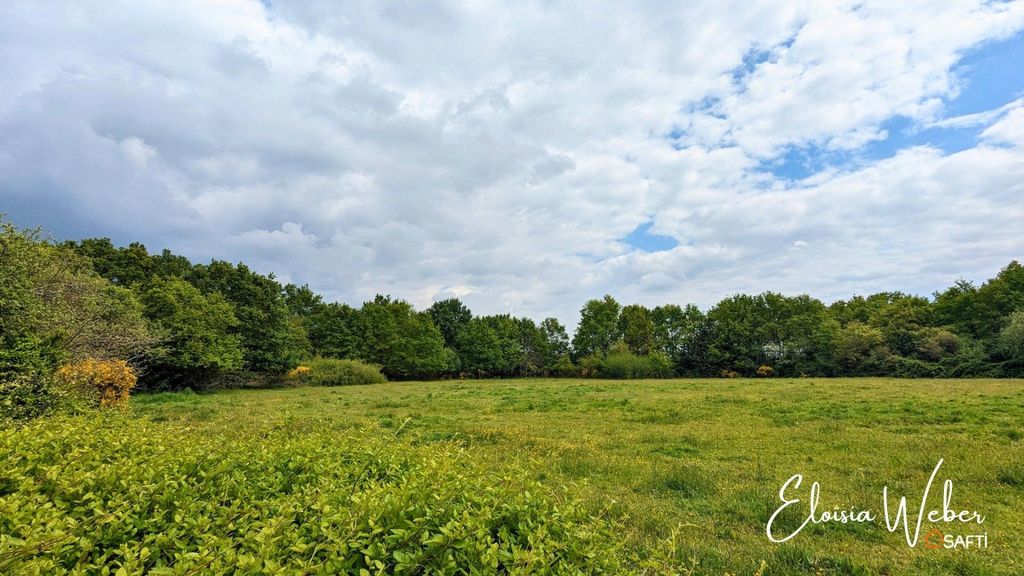 Achat maison 3 chambre(s) - Verrières-en-Anjou