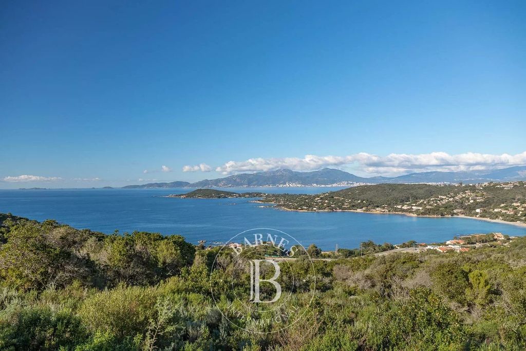 Achat maison à vendre 5 chambres 203 m² - Ajaccio