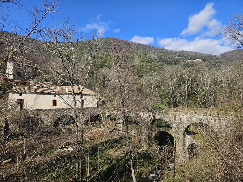 Achat maison 5 chambre(s) - Saint-Roman-de-Codières