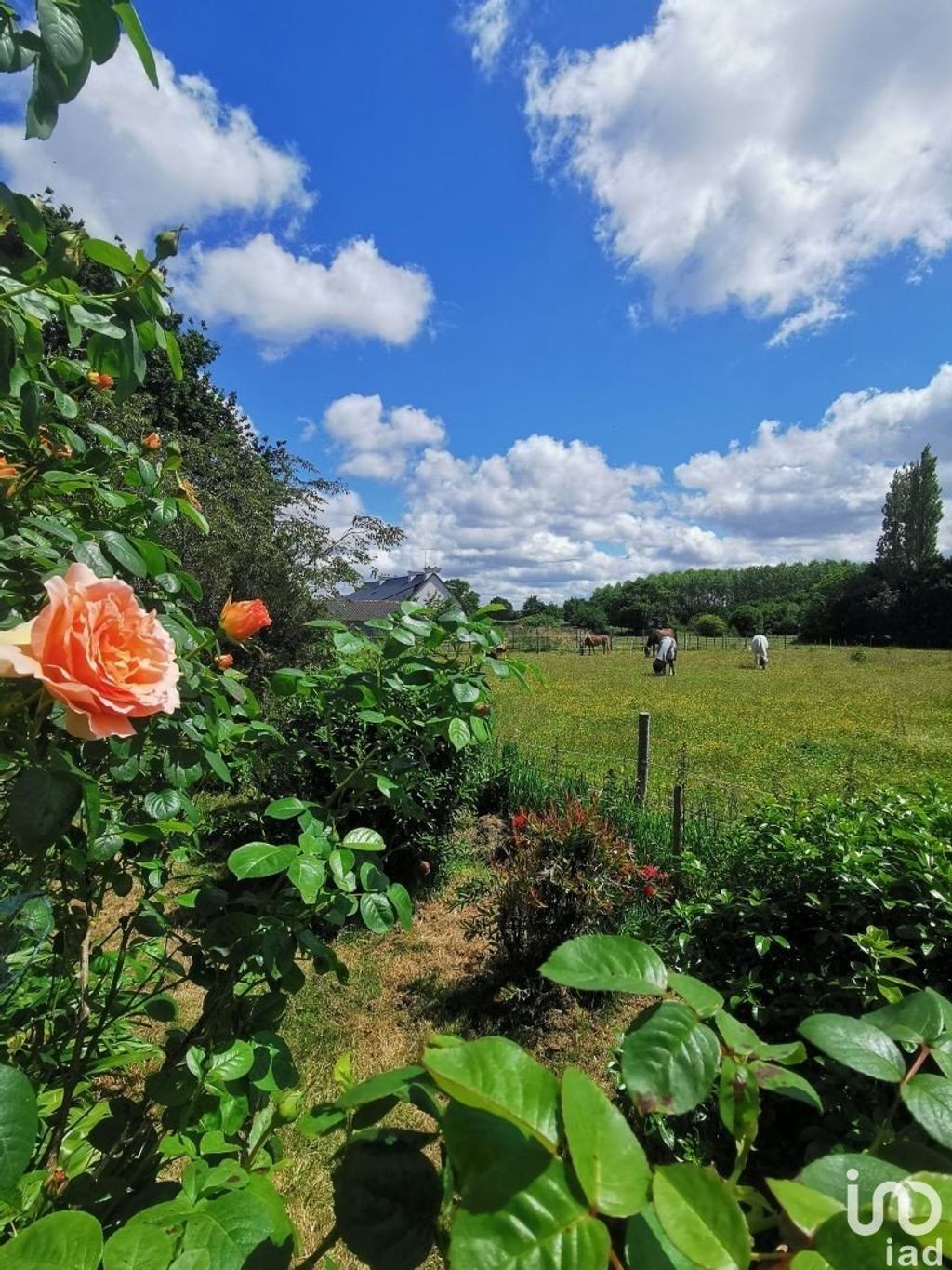 Achat maison 4 chambre(s) - Saint-Gilles-les-Bois