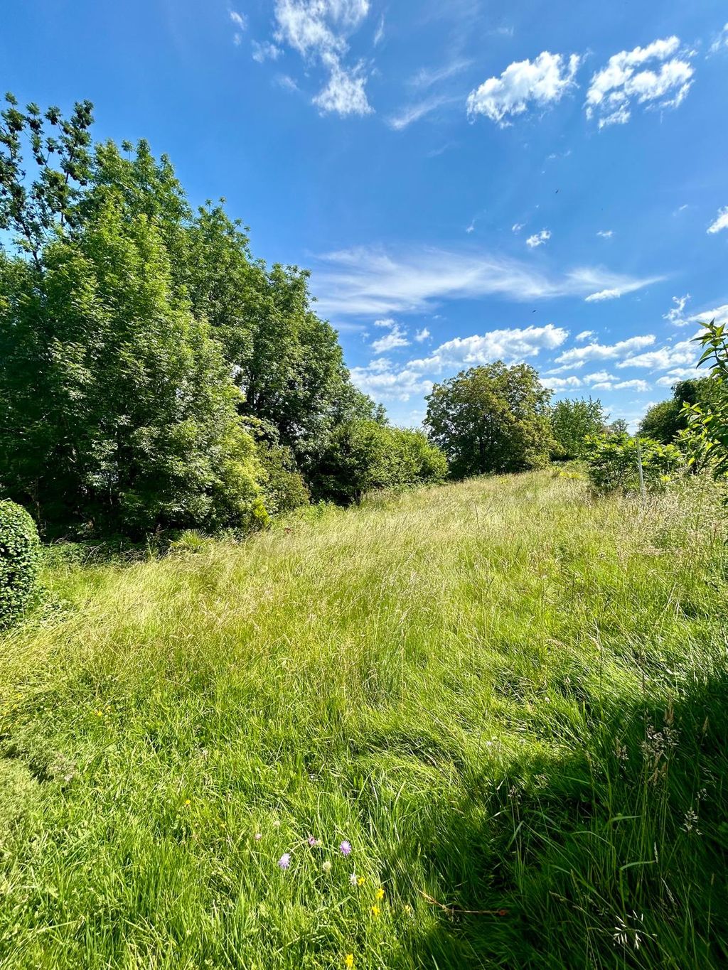 Achat maison 3 chambre(s) - Neuvecelle