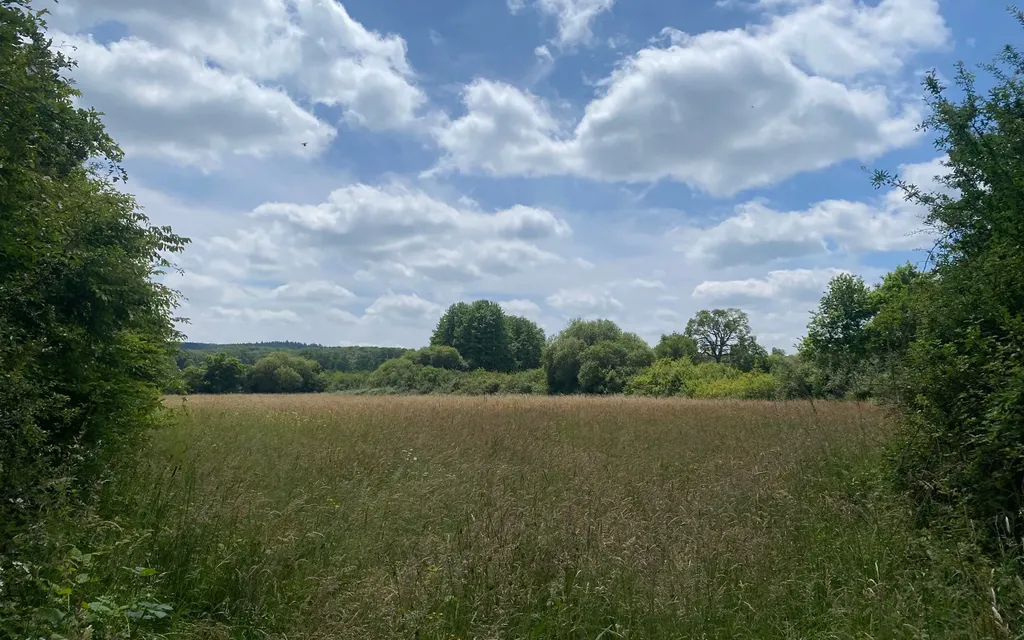 Achat maison 3 chambre(s) - Saint-Paterne - Le Chevain