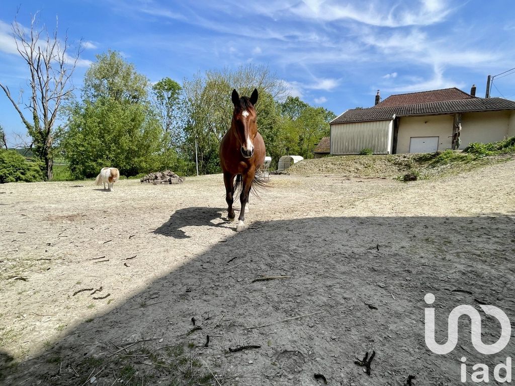 Achat maison 3 chambre(s) - Pougy