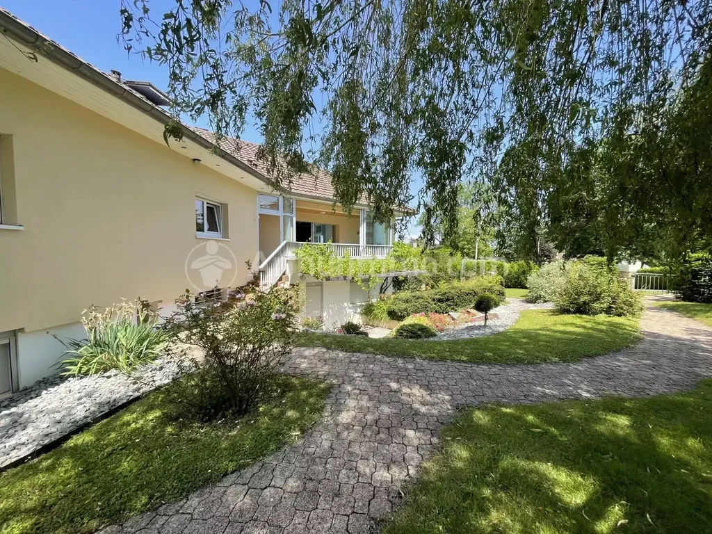 Achat maison à vendre 5 chambres 283 m² - Montbéliard