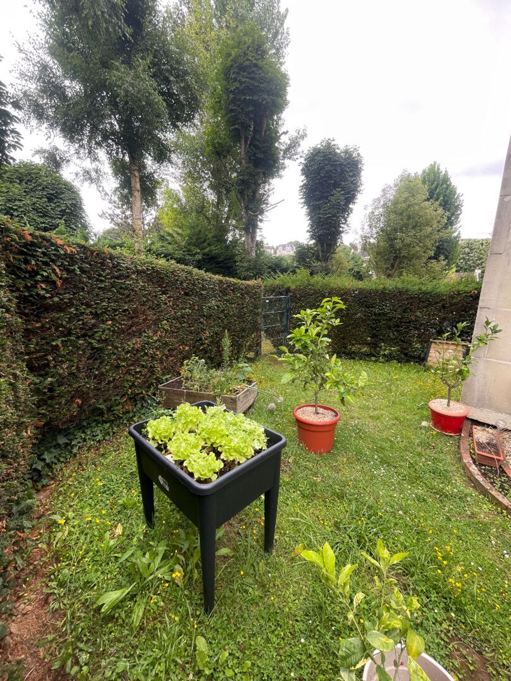 Achat appartement à vendre 2 pièces 58 m² - Caen