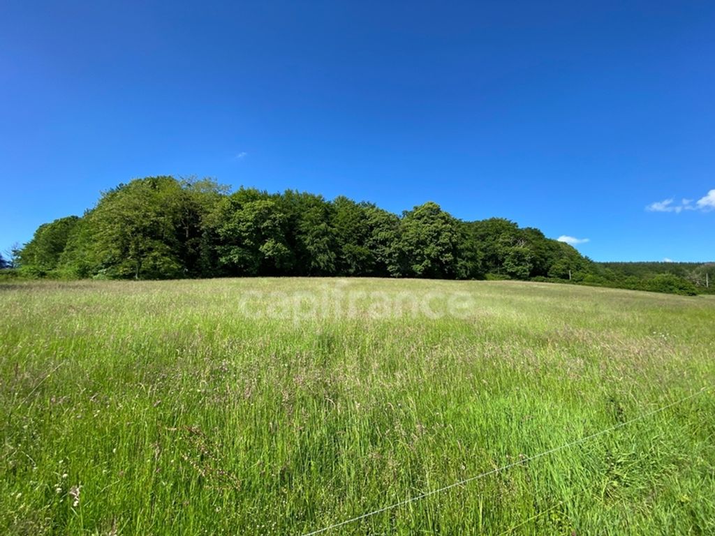 Achat maison 6 chambre(s) - Saint-Léger-de-Fougeret