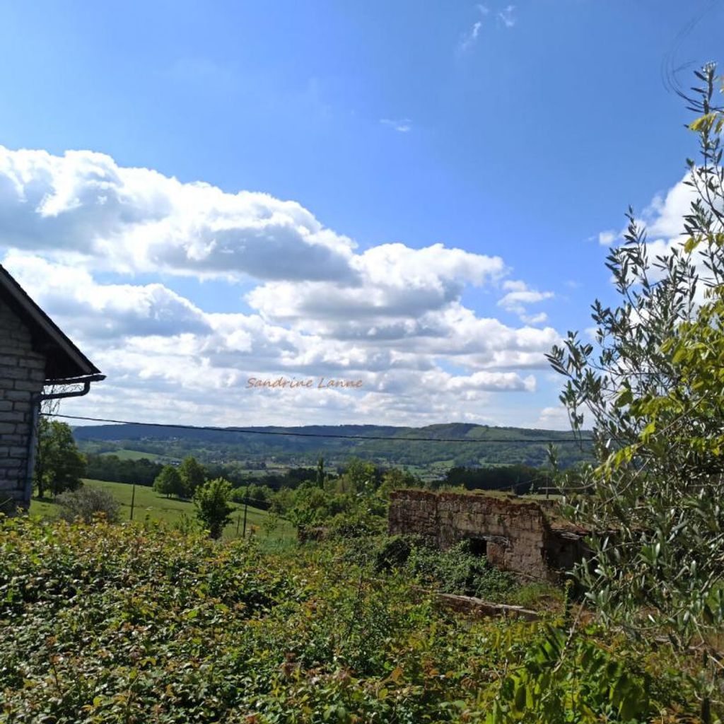 Achat maison 4 chambre(s) - Saint-Pantaléon-de-Larche