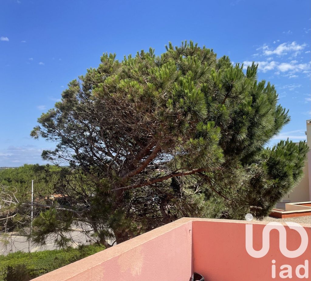 Achat studio à vendre 20 m² - Leucate