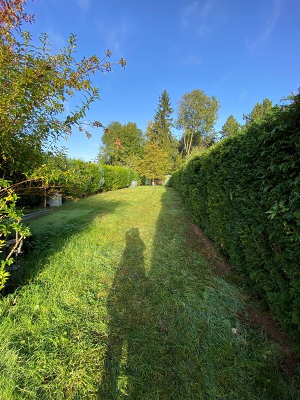 Achat maison 2 chambre(s) - Bosquel