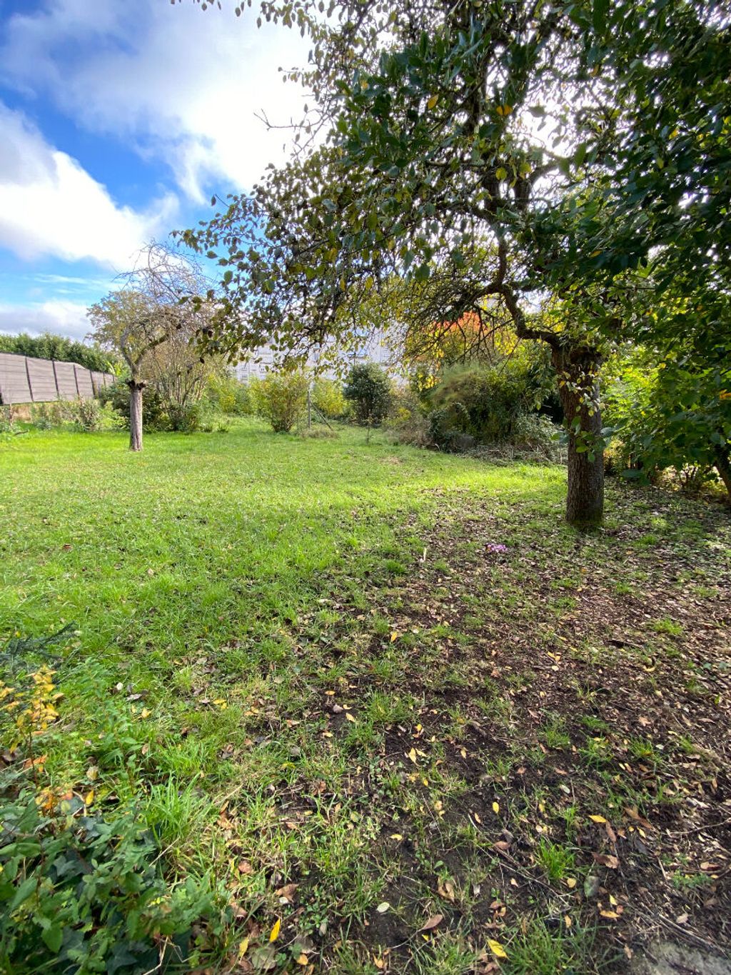 Achat maison 4 chambre(s) - Orléans