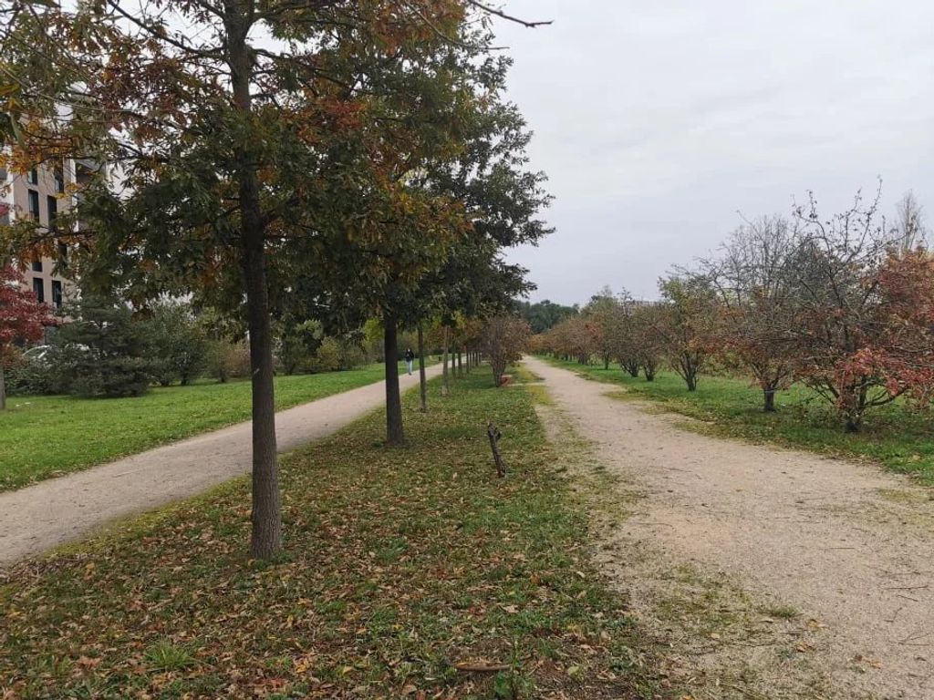 Achat maison 4 chambre(s) - Beauzelle